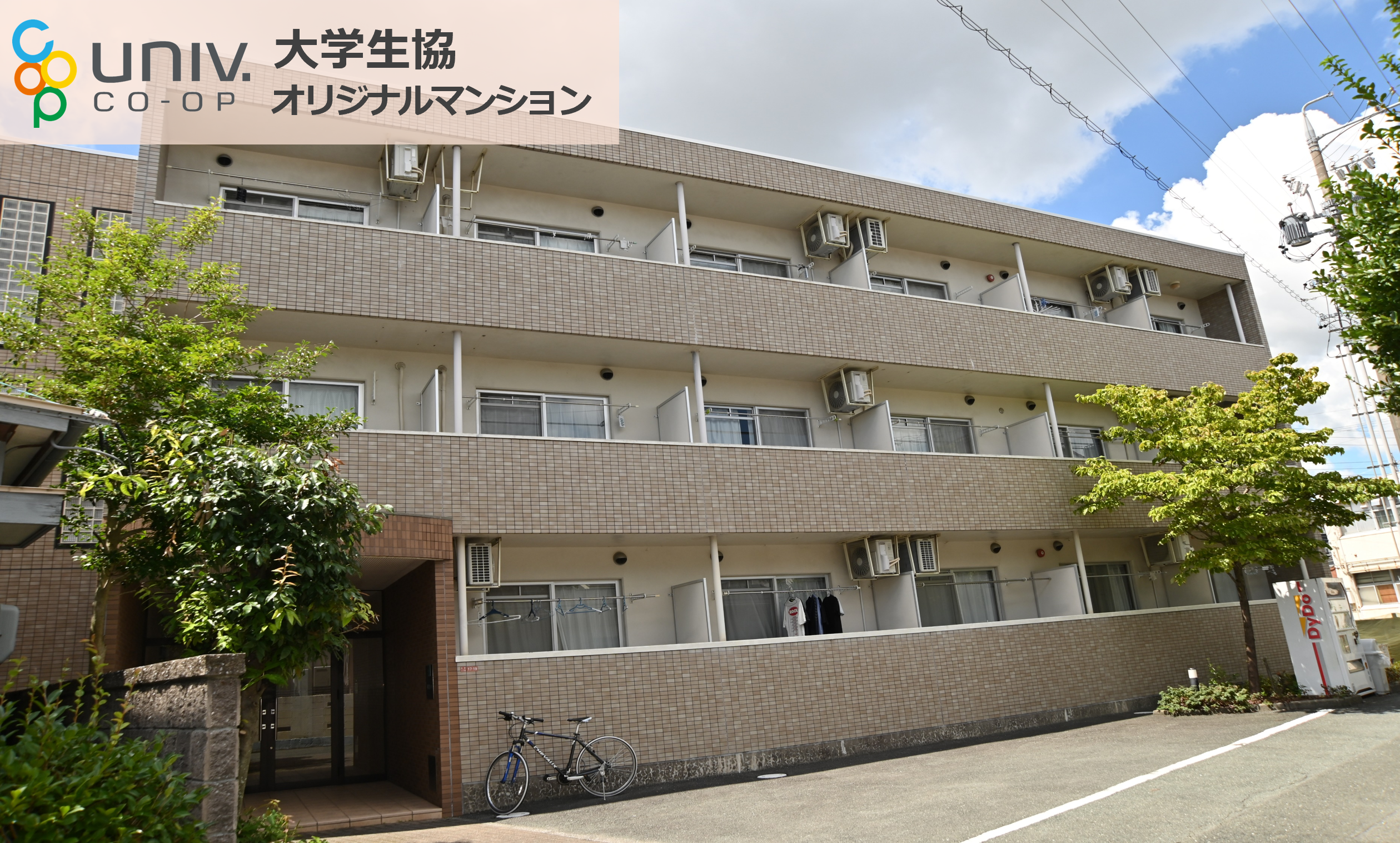 1804棒屋第5