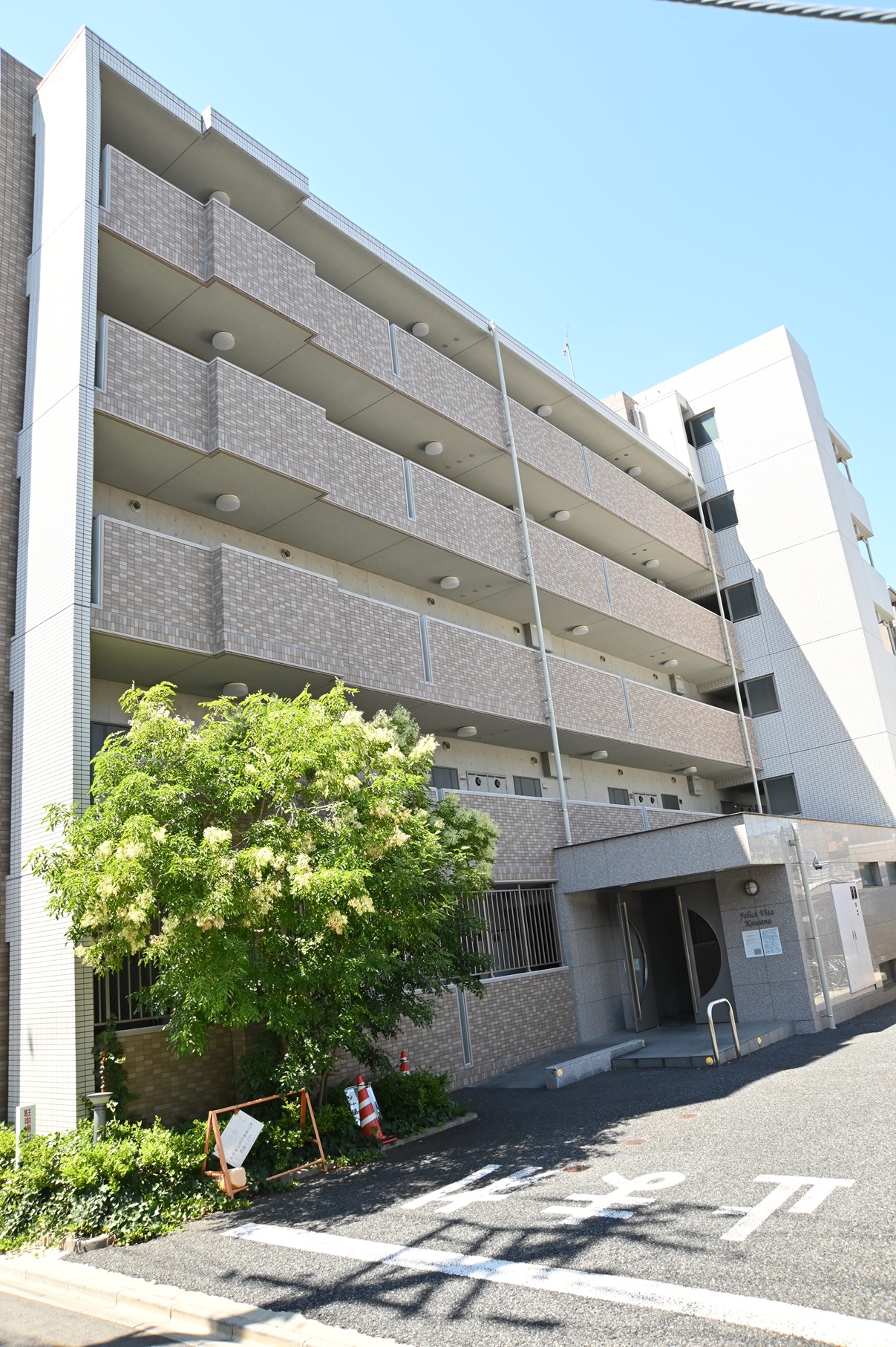 フェリーチェビータ川名 通路側（北側）