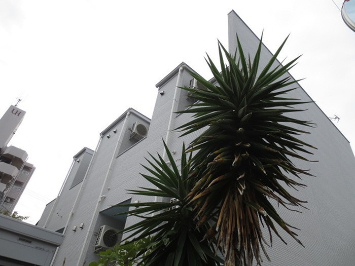 Ｃａｓａ　ｃｌａｖｅｌｉｎａ 外観