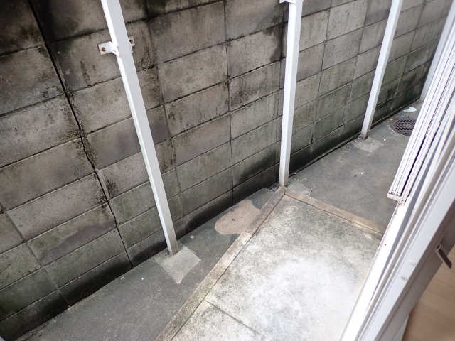 プチメゾン川原 庭