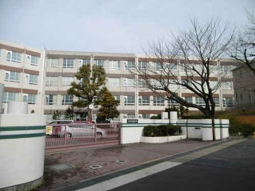 ＬＯＦＴビル 【中学校】藤森中学校まで322ｍ