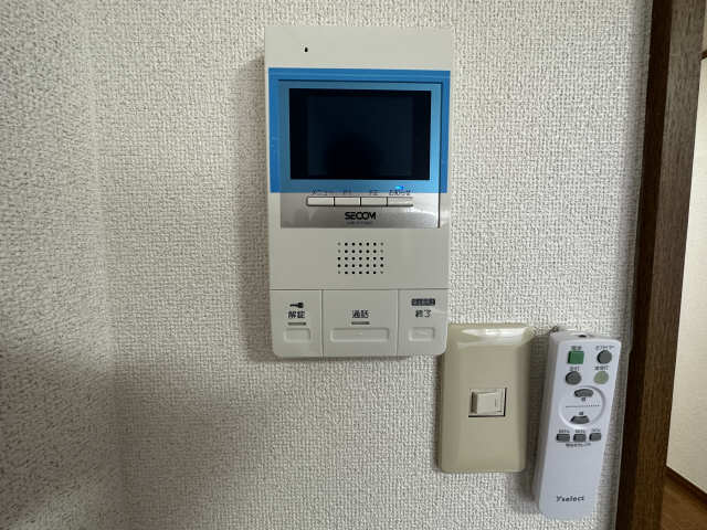 パエストゥム セキュリティ