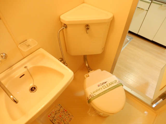 ビューコートカミムラ トイレ