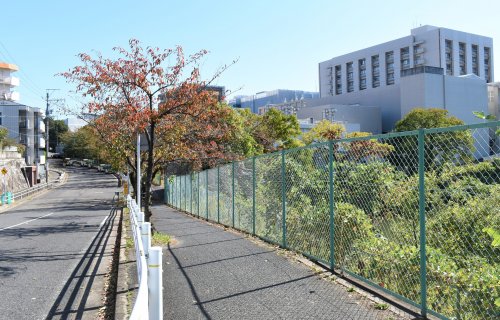 コーポふくしま 【その他】名古屋大学鏡ヶ池口まで1051ｍ