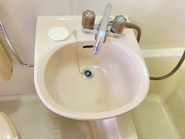 サングリーン御器所 洗面所
