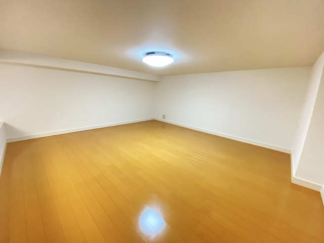 ＣＡＰＩＴＡＬ　ＨＩＬＬＳ　Ⅰ その他