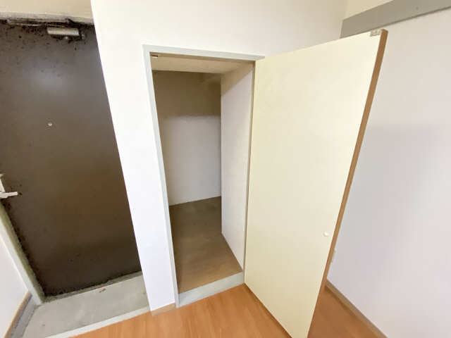 ピアーナミワ 収納