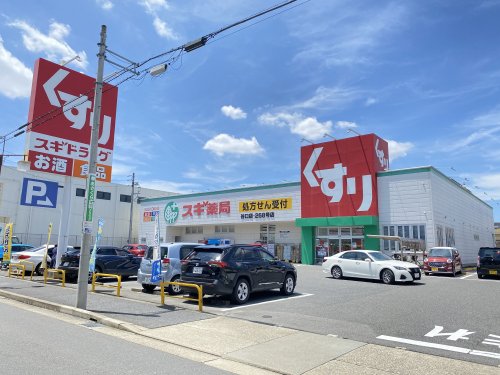 アヴニール 【ドラッグストア】スギ薬局谷口店まで642ｍ