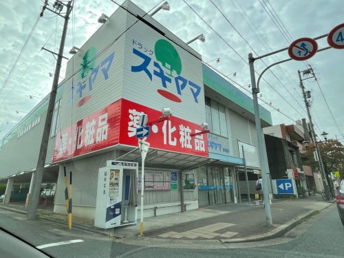 カステリヨンハウス 【ドラッグストア】ドラッグスギヤマ 仲田店まで449ｍ