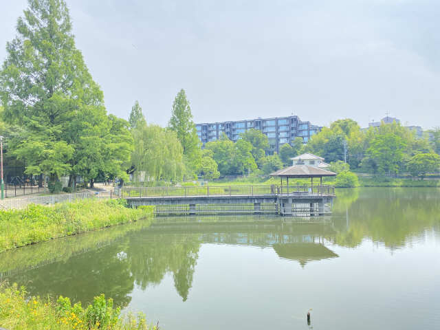 ハイツ藤 【公園】隼人池公園まで1456ｍ