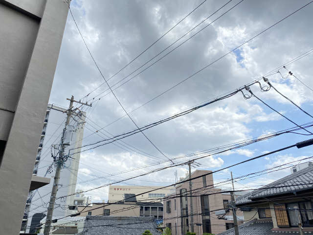 エンゼル本山 展望