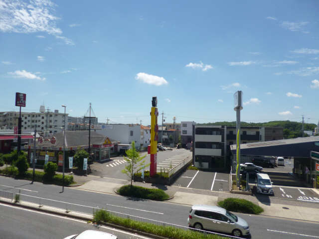 フラワーズドリームⅡ 展望