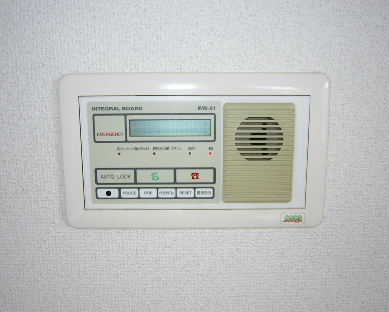 メランザーナISEKI インテグラボード