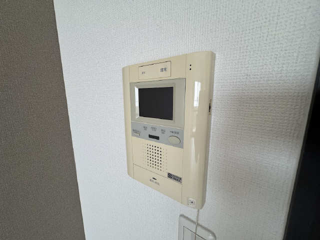 ボッロ　リーノ セキュリティ