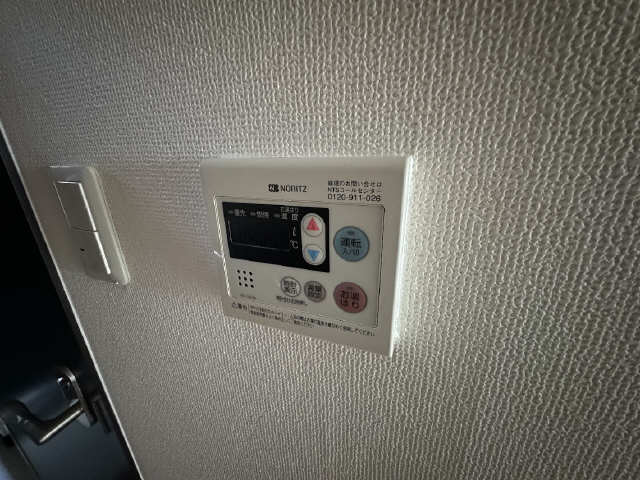 ボッロ　リーノ その他