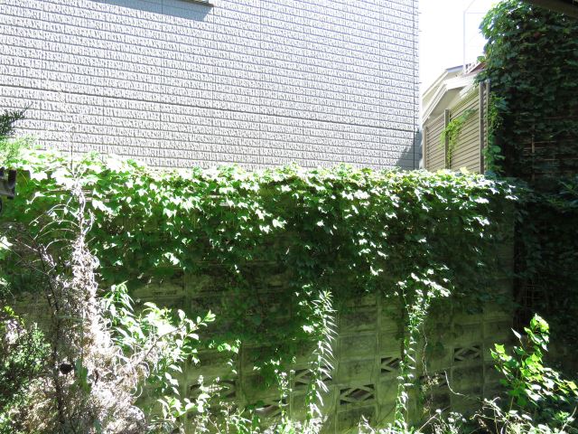 フォーブルY 眺望