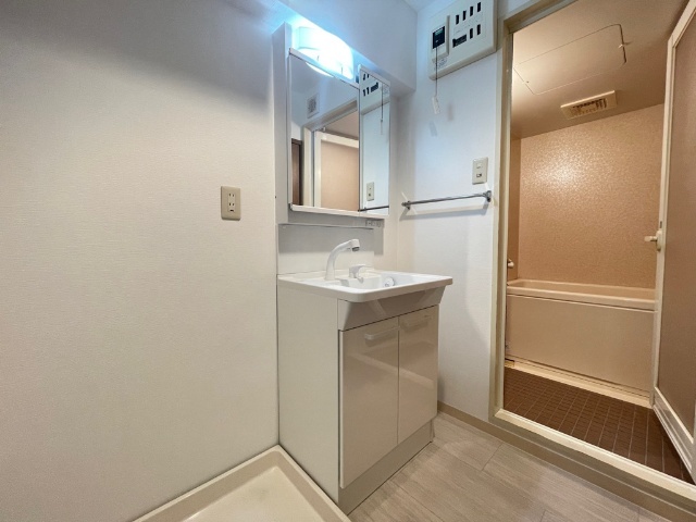 サンモール菊井 洗面所