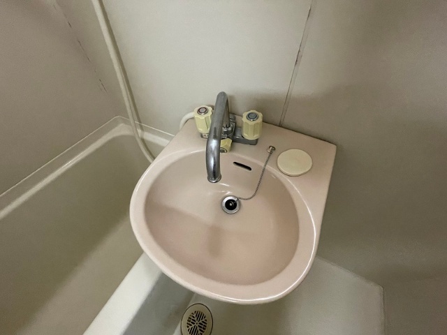 エイカハイム 洗面所