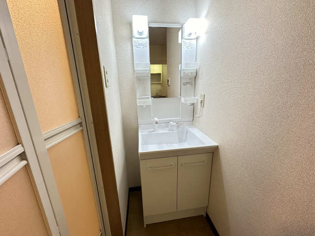 アヴェニューコート栗真Ｂ棟 洗面所