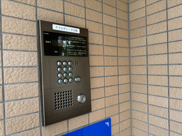 アフロディーテ川名 セキュリティ