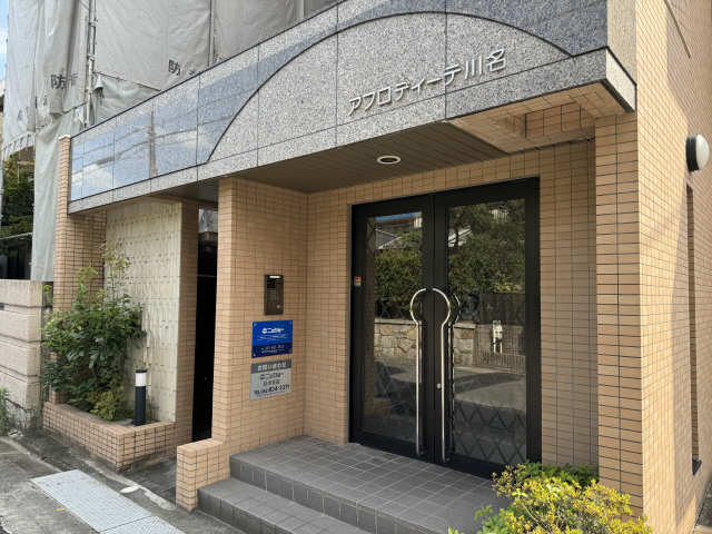 アフロディーテ川名 エントランス