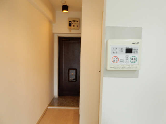 アンシャンテ川原 その他