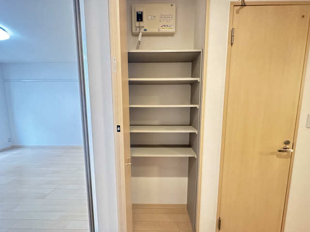 レジデンス茶屋が坂　Ｂ棟 収納