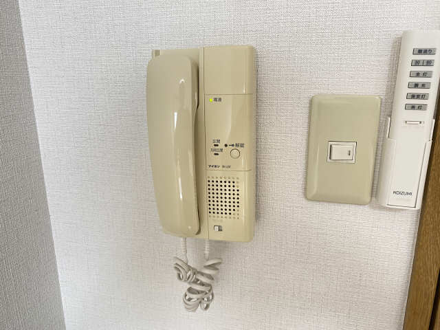 ソレムスワン その他