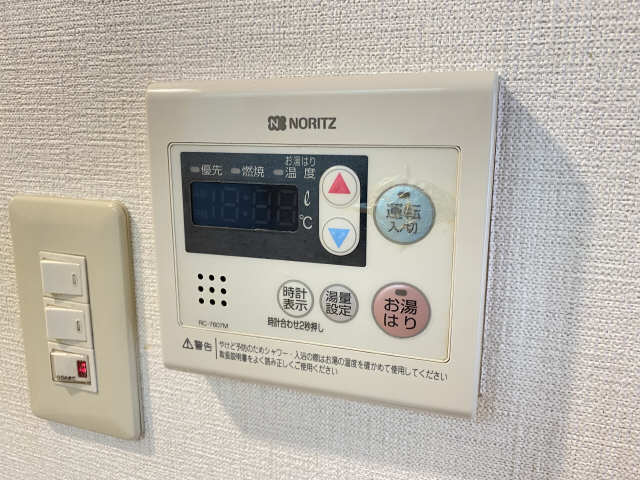 ソレムスワン その他
