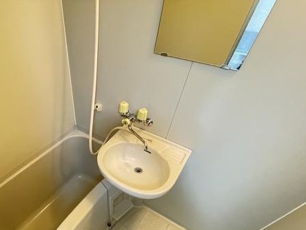 サンビレッヂ平和が丘　ＥＡＳＴ 洗面所
