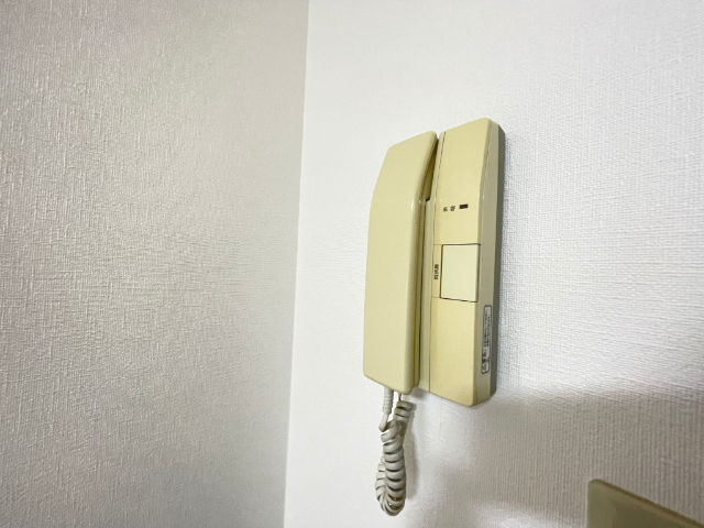 リーザ川名 セキュリティ