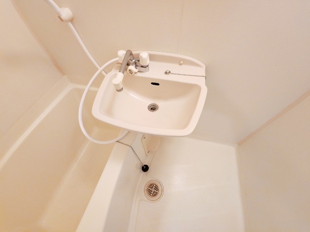 長谷川１７番館 洗面所