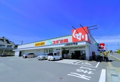 高根台ビレッジ スギ薬局上池店