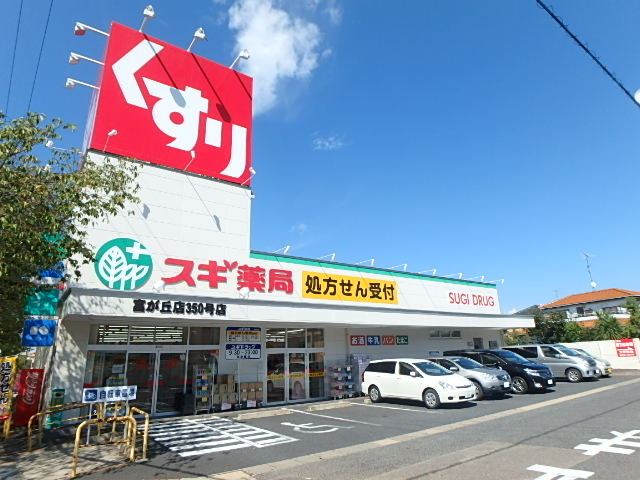 エクシード藤ヶ丘 スギ薬局