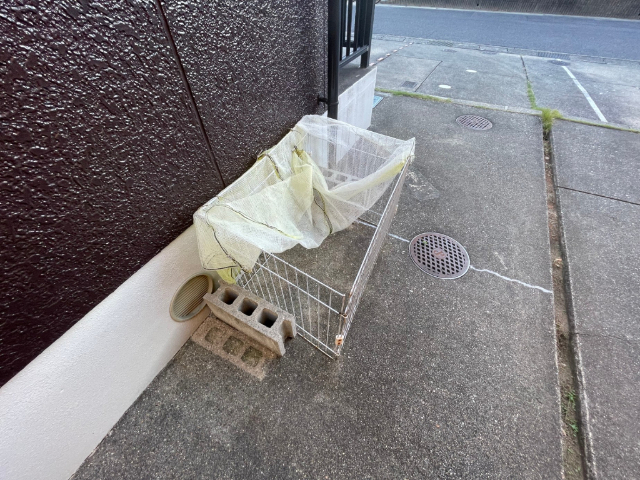 スターティング その他