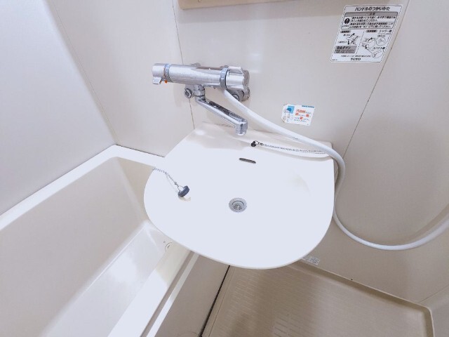カムトゥルー 洗面所