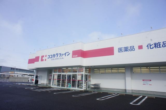 アヴニール菊水 ココカラファイン