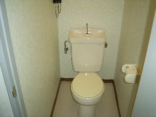 ルーブル高 トイレ