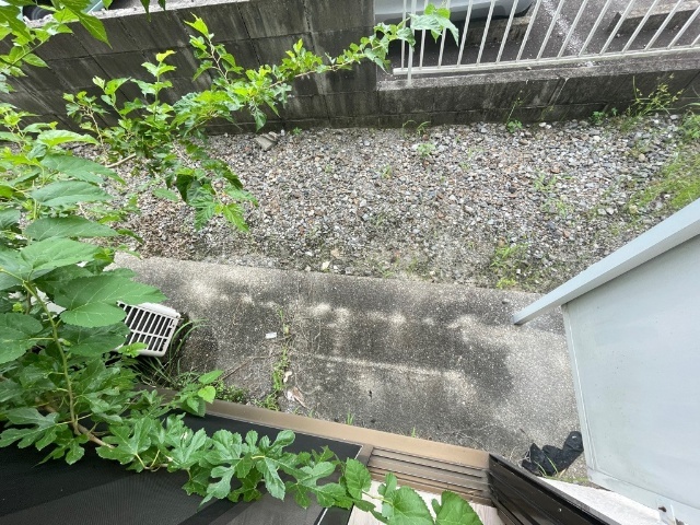 アビテシンシア ベランダ
