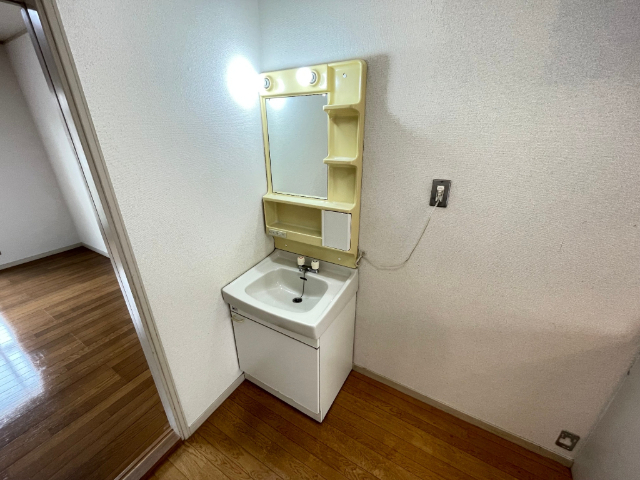 ハイツニュールミネ 洗面所