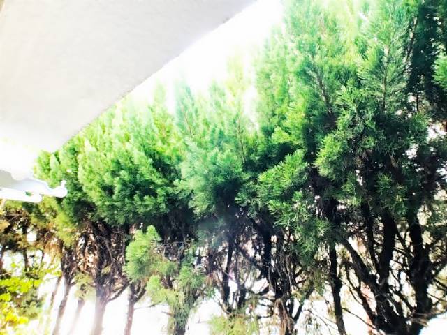 川本マンション 眺望