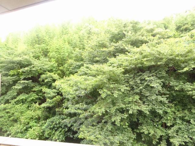 Ｓｕｎ　Ｓｔａｔｅ東海 眺望
