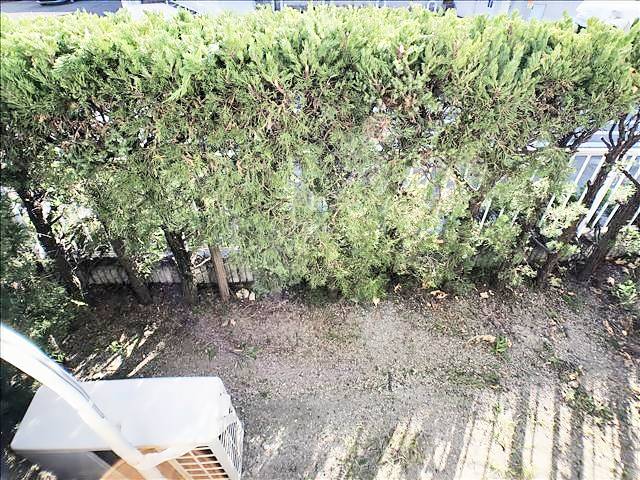 アーバンアオヤマ 庭