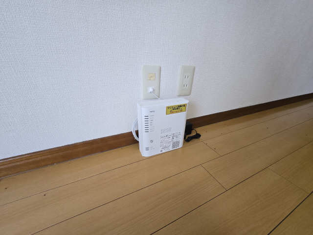 ヴィヴィアンロゼ その他