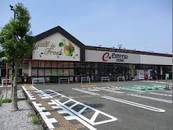 プリメーラ富塚 遠鉄ｽﾄｱ 富塚店