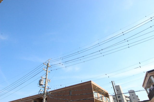 Ｎｅｗ　Ｃｅｎｔｕｒｙ 眺望