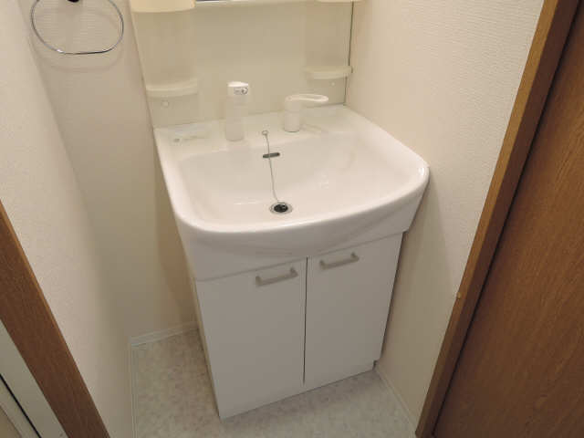 ソレムスワン 洗面所
