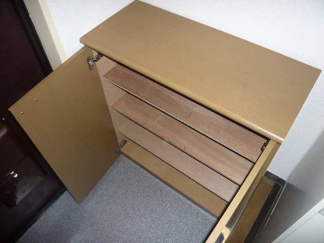 ジュネストーコー その他