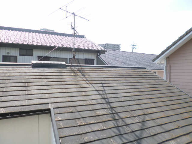 富士見ビル 展望