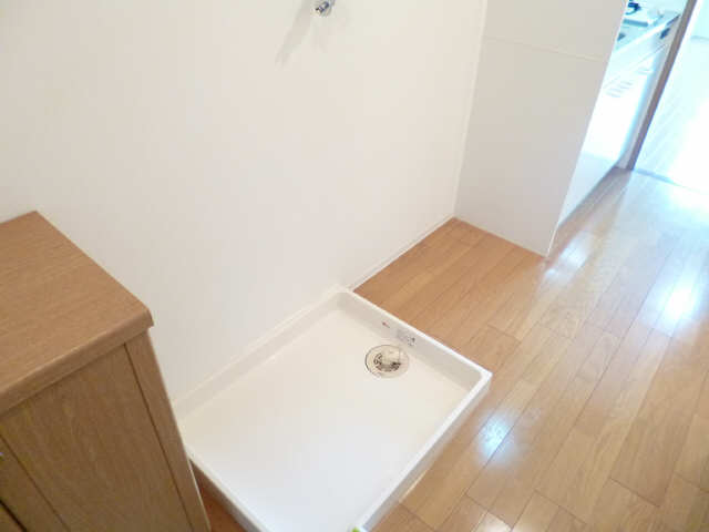 ソレムスワン その他